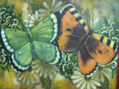 mariposas en el jardin