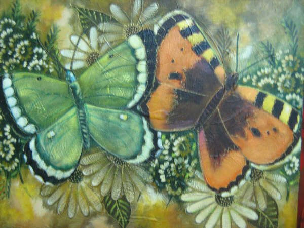 mariposas en el jardin