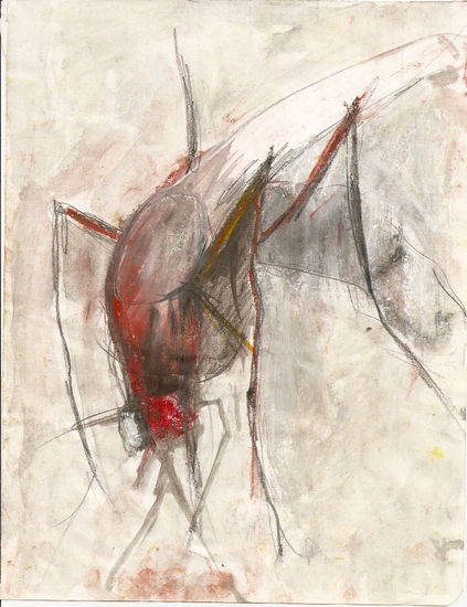 mosquito Charcoal