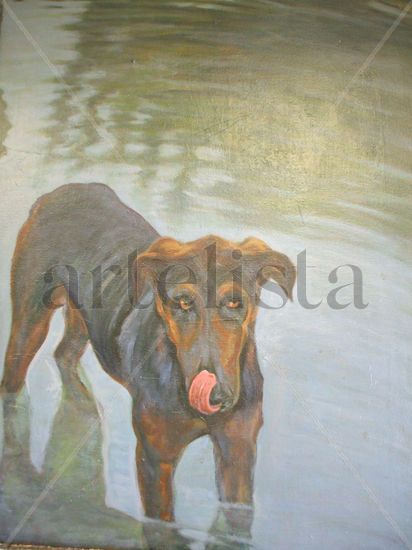 perro callejero en la fuente-2 Oil Canvas Animals