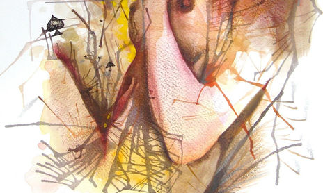 Ilustraciónes “Dormir con Brujas ”.