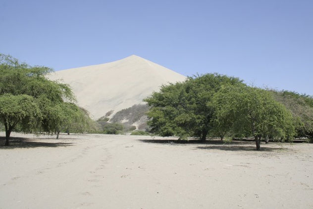 desierto al meridiano