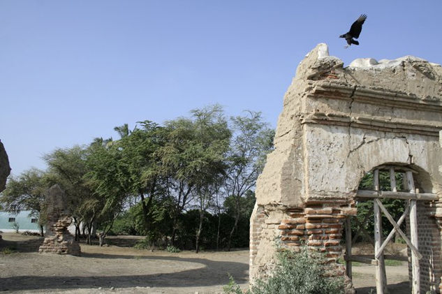 la llegada del gallinazo 