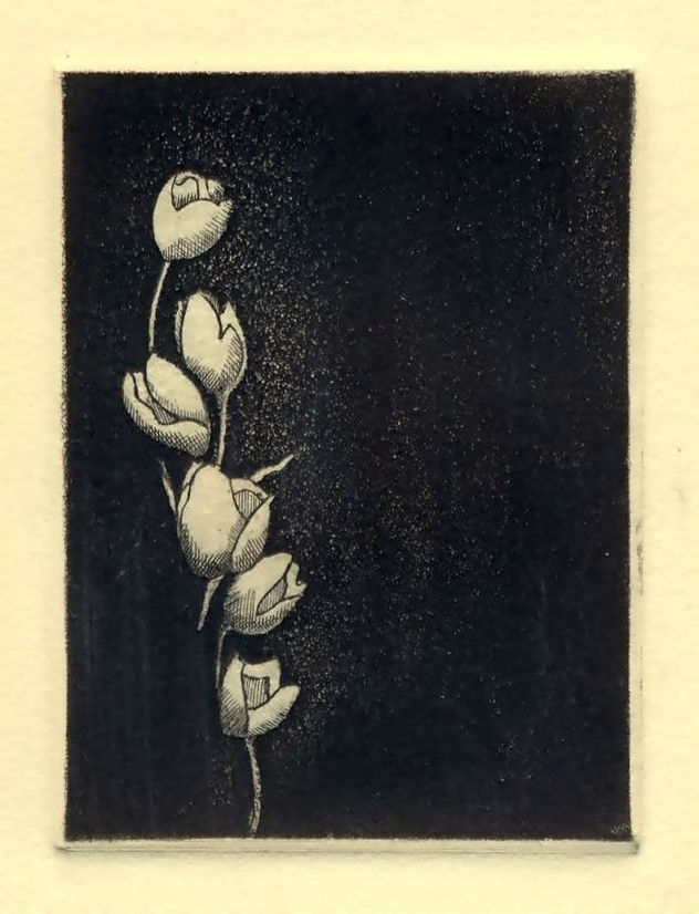 "FLOR NOCTURNA"