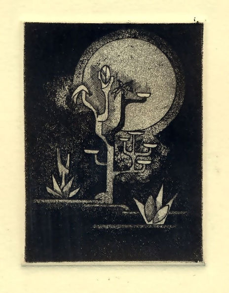 "nocturno"