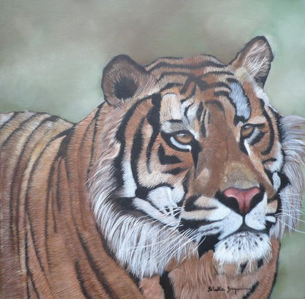 Tigre