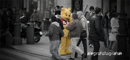 Teddy