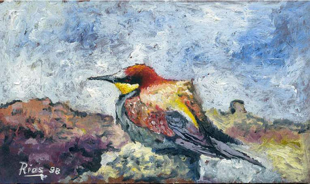 Colibri Oil Panel