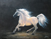 Caballo blanco