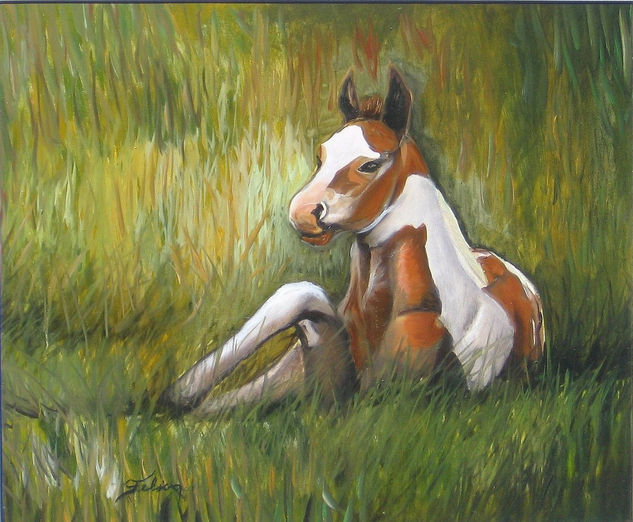 Caballito en pastizal Oil Canvas Animals