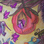 Habitantes de la Floresta thumbnail 1