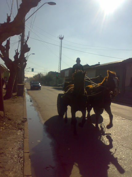 Uban farm