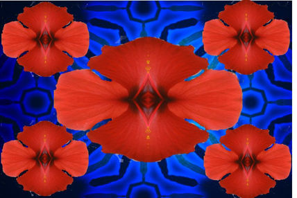 Composición Floral