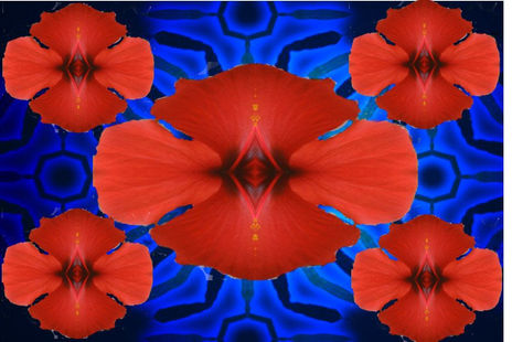 Composición Floral