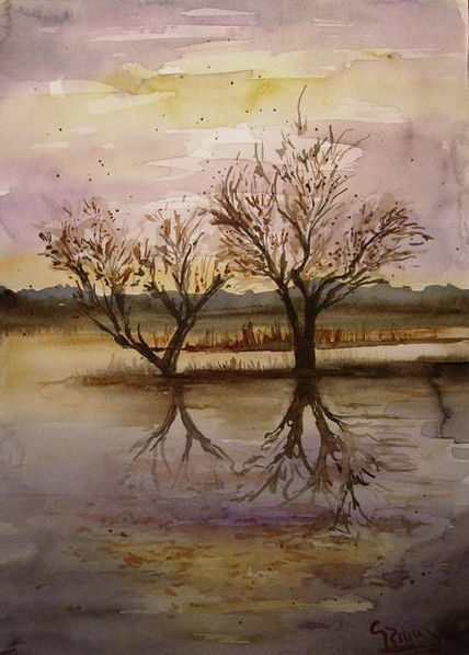 Atardecer II