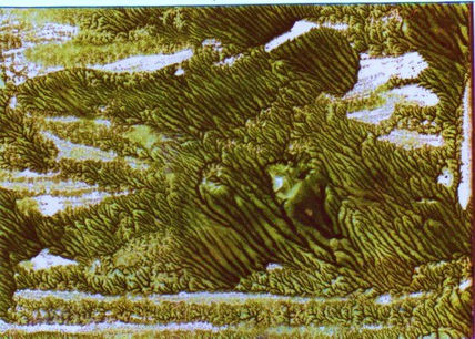 La atlántida,1980