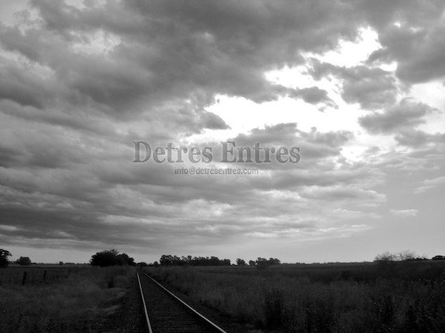 Atardecer en el campo Arquitectura e interiorismo Blanco y Negro (Digital)