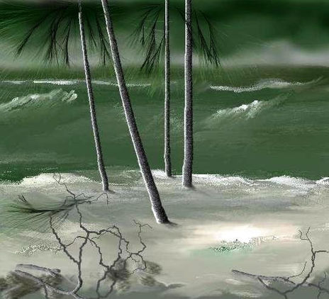 Praia-3c