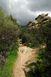 La pedriza camino