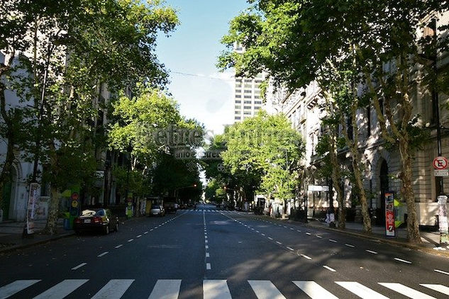 Avenida de Mayo Arquitectura e interiorismo Blanco y Negro (Digital)