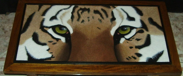 ojo de tigre Acrylic Panel Animals