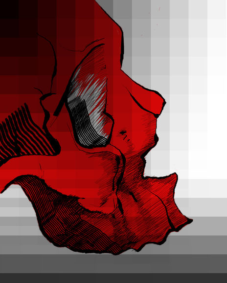 cráneo rojo II