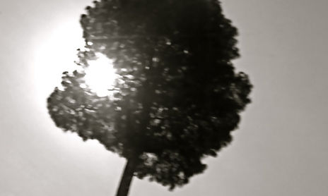Naturaleza