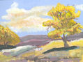 paisaje