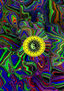 MANDALA.-