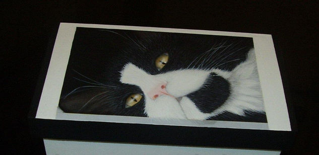 Caja De Gatito Acrylic Panel Animals