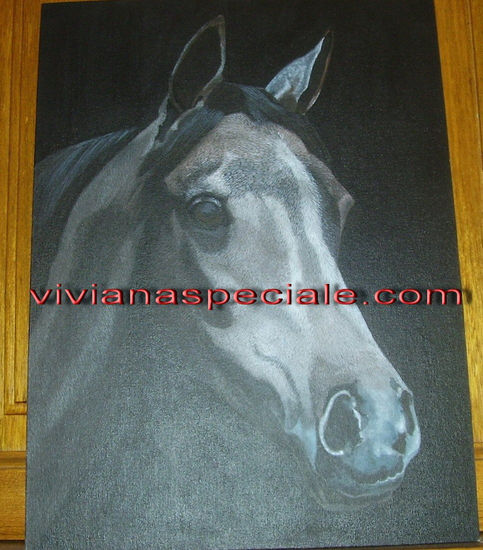 caballo Acrylic Canvas Animals