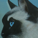 gatos thumbnail 2