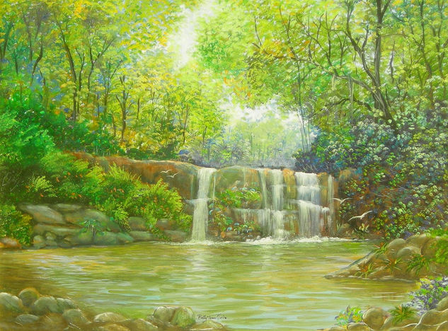 Cascada paraguaya Oil Canvas Landscaping