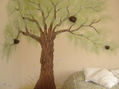 bosque