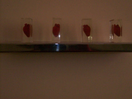 coRAZÒN