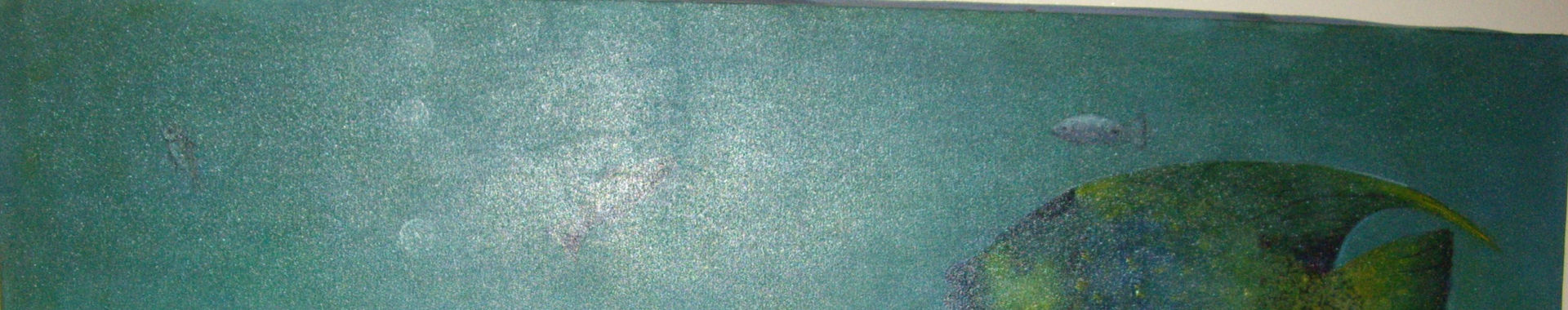 Imagen de portada
