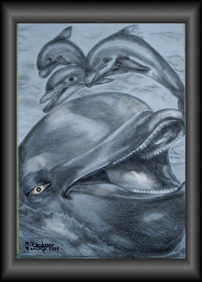 delfines Charcoal