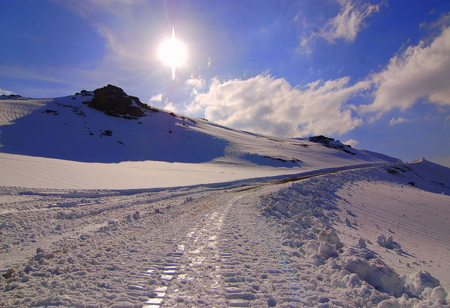 Sierra Nevada zipitoste maggic 