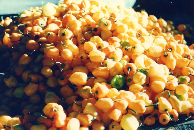 SABOR.. 