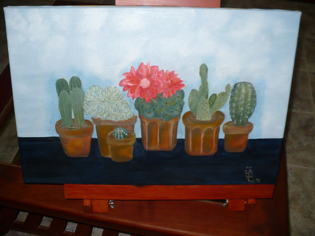 Los Cactus de Alicia 