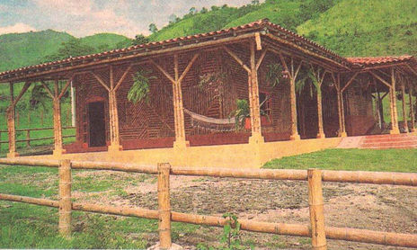 Arte Bambú