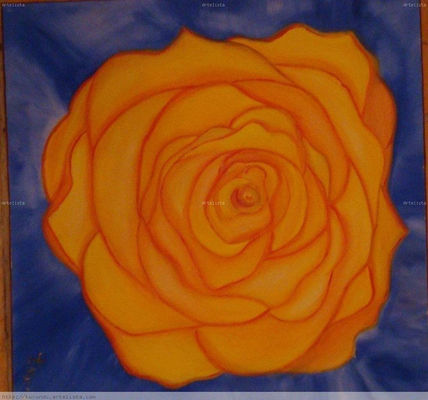 ROSA AMARILLA Pytängy