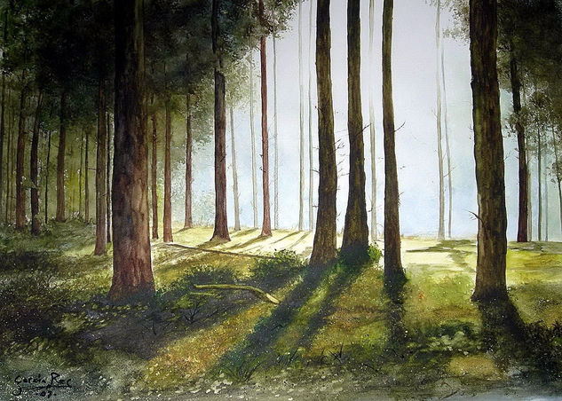 CONTRALUZ Watercolour Paper Landscaping