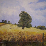 PAISAJE DE CAMPO thumbnail 1