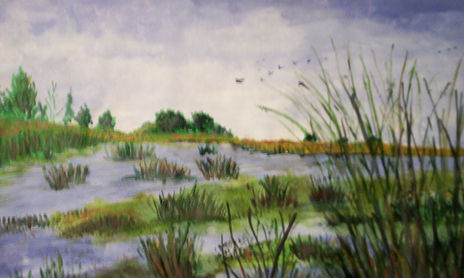 PAISAJE DE CAMPO