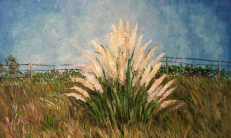 PAISAJE DE CAMPO