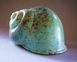 caracol 2