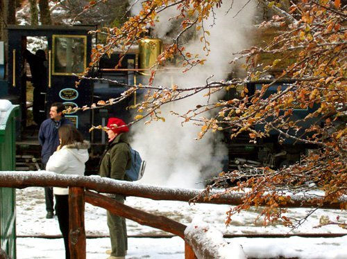 FERROCARRIL AUSTRAL PATAGONICO Travel Color (Digital)