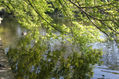 Reflexions, estanque, naturaleza, paisajes