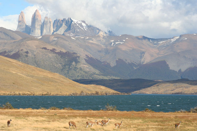 La laguna azul 